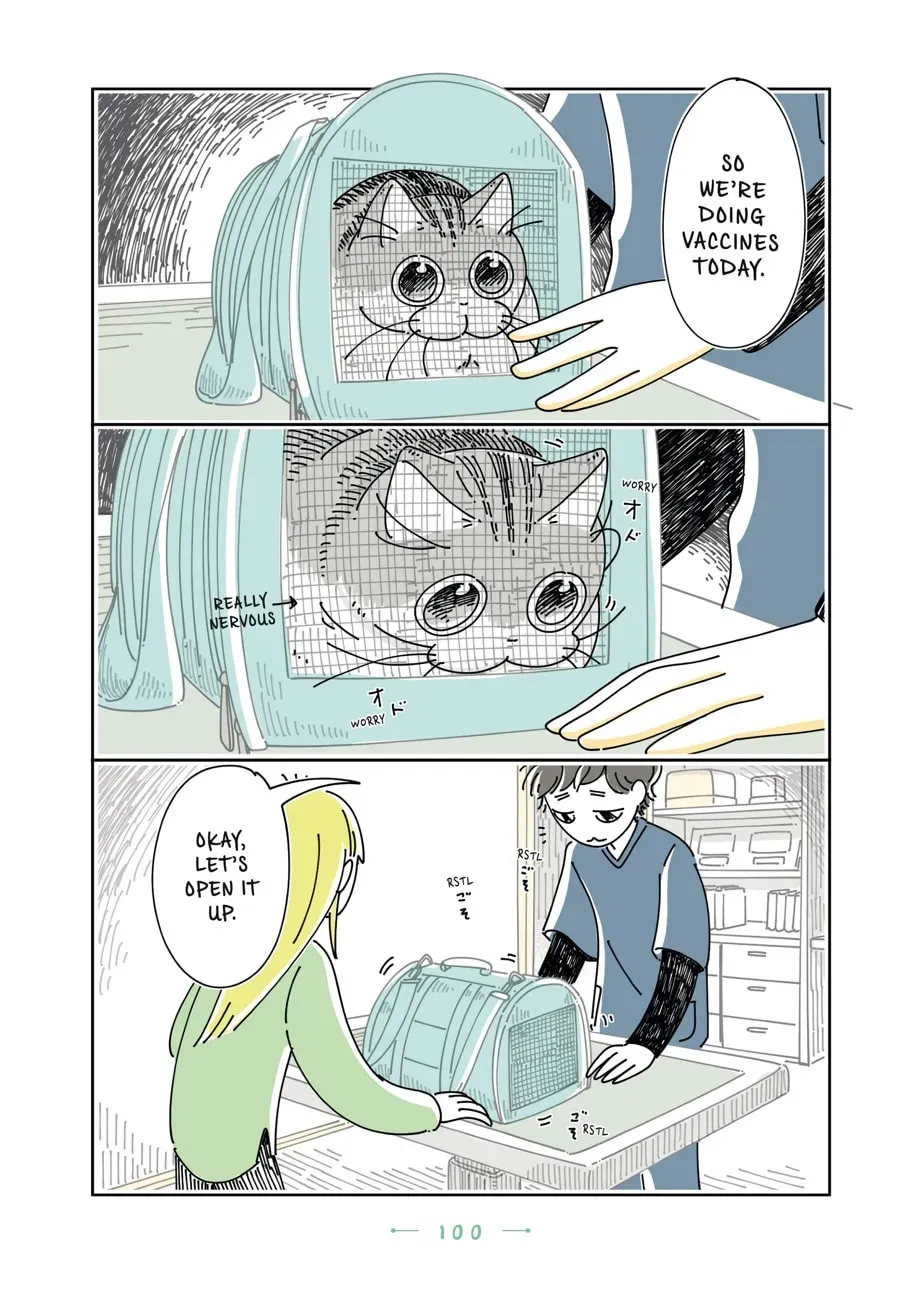 Read Nights With a Cat chapter 128 image 4 on Lezhin