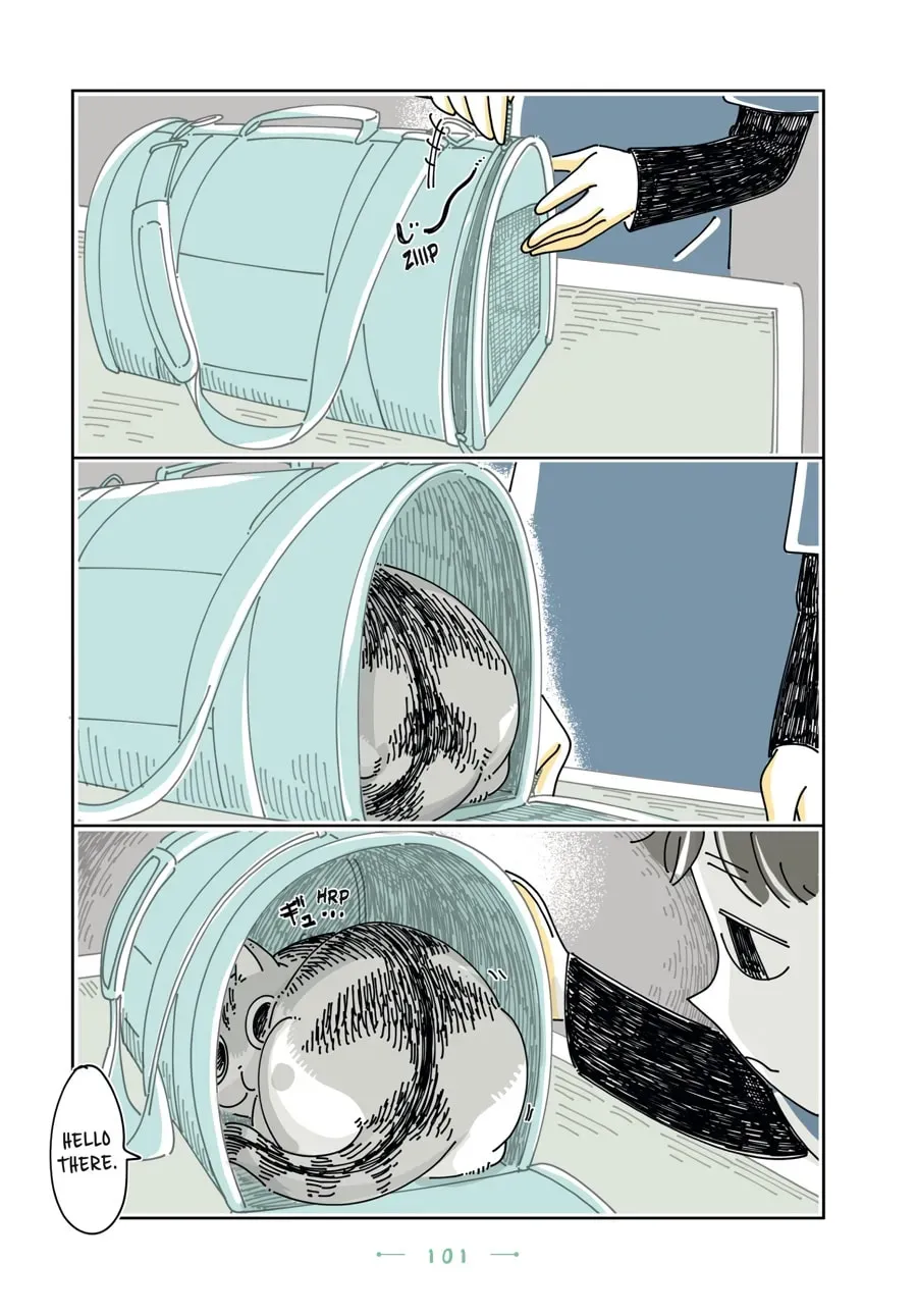 Read Nights With a Cat chapter 128 image 5 on Lezhin