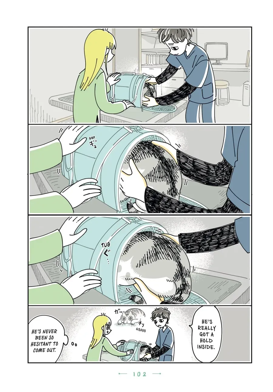 Read Nights With a Cat chapter 128 image 6 on Lezhin