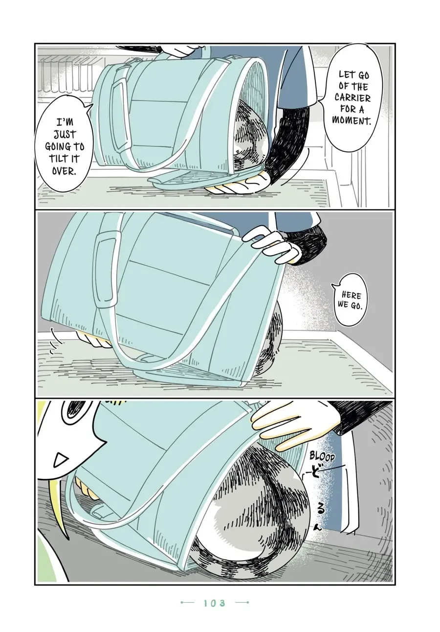Read Nights With a Cat chapter 128 image 7 on Lezhin