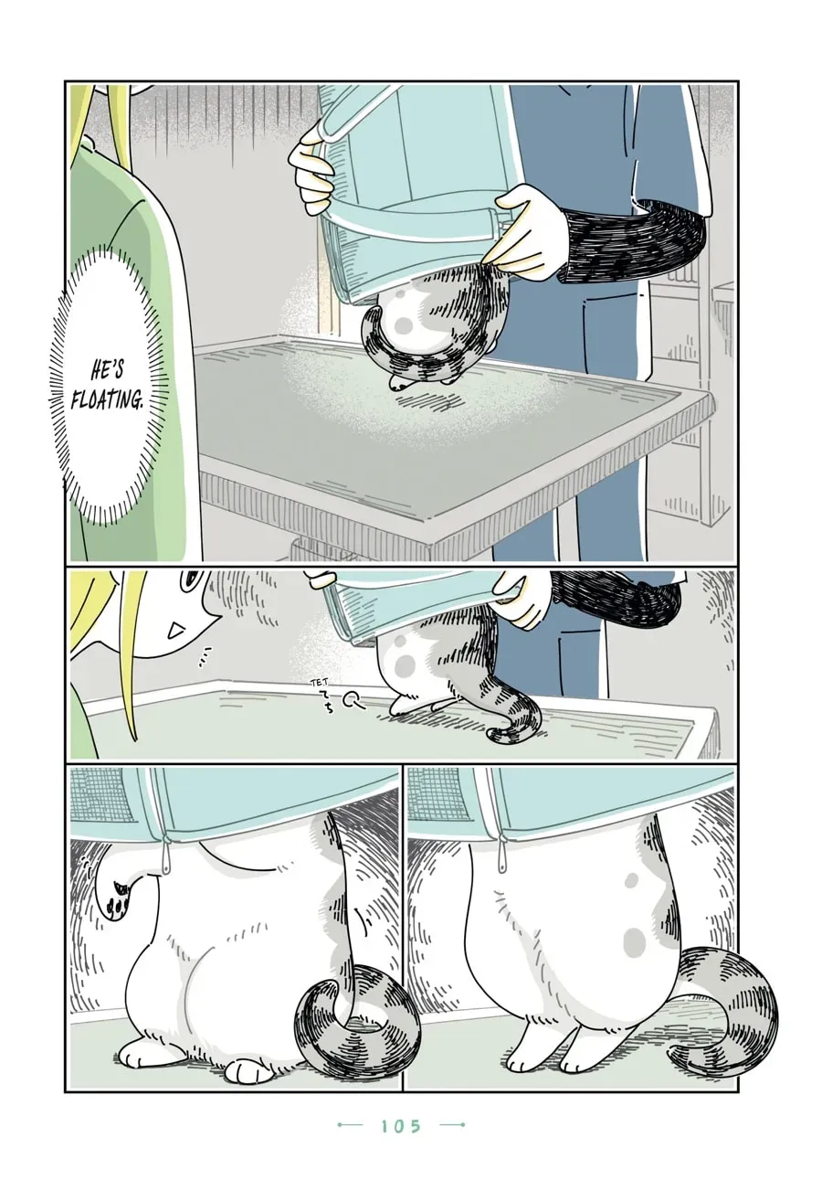 Read Nights With a Cat chapter 128 image 9 on Lezhin