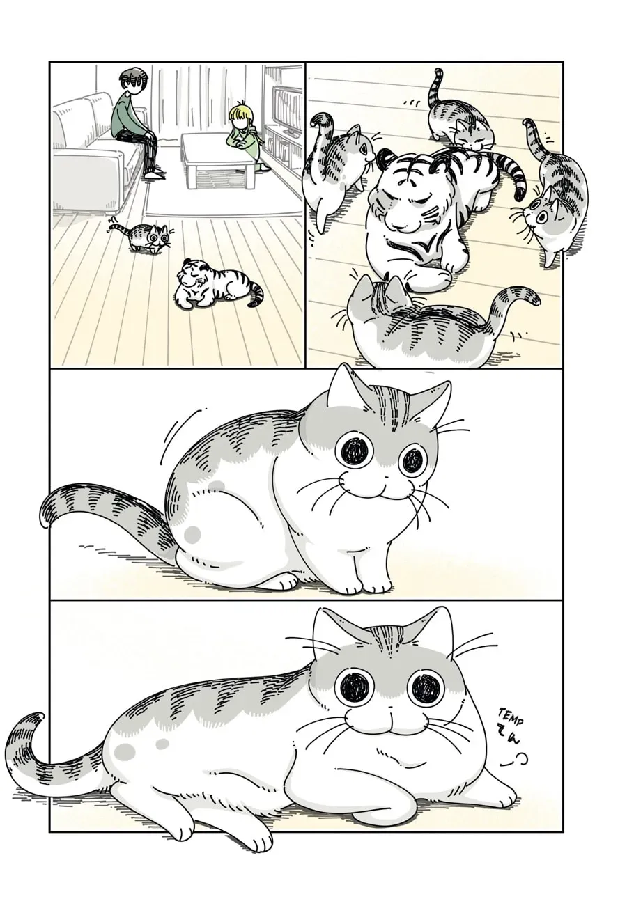 Read Nights With a Cat chapter 129 image 3 on Lezhin