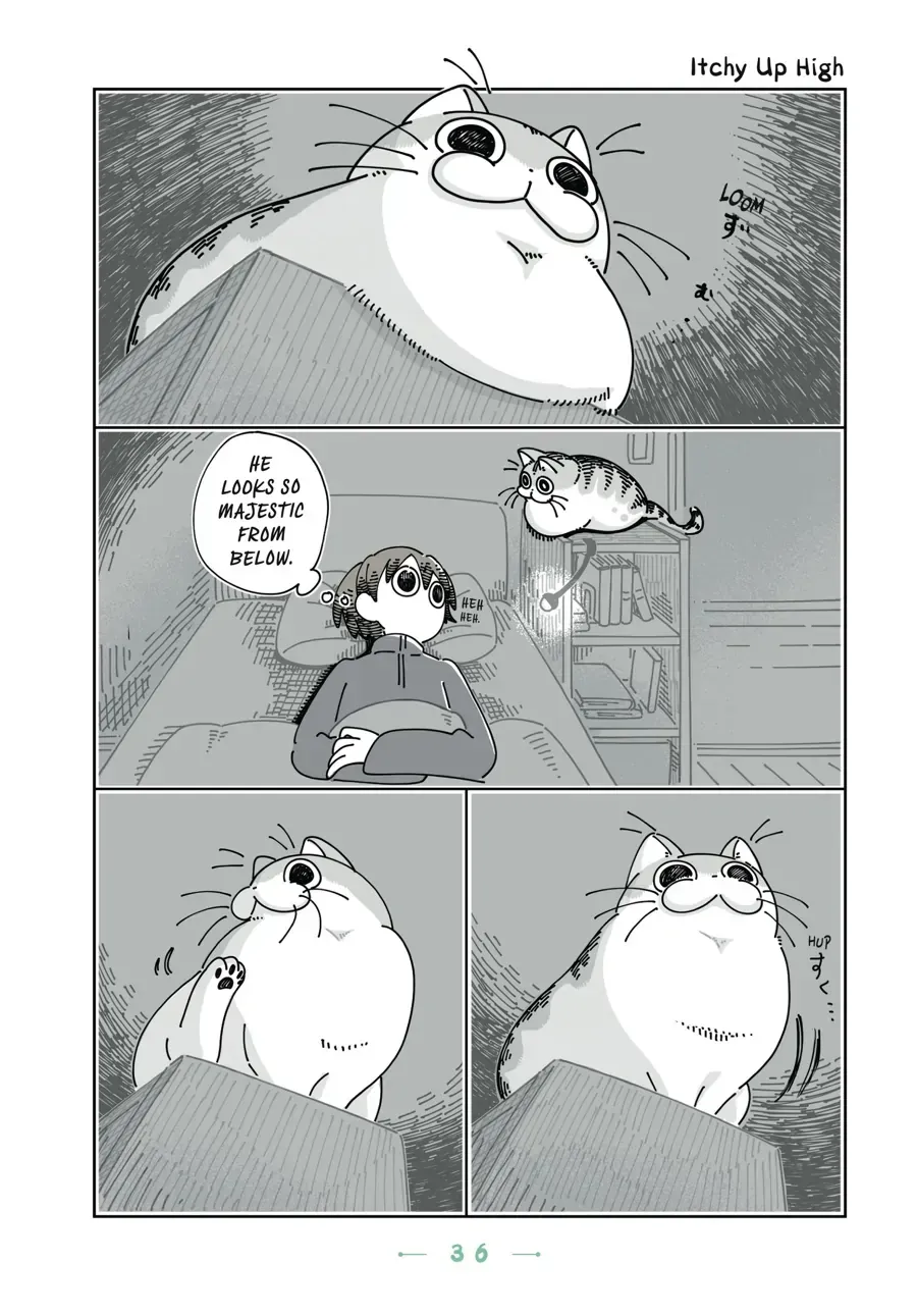 Read Nights With a Cat chapter 13.2 image 1 on Lezhin