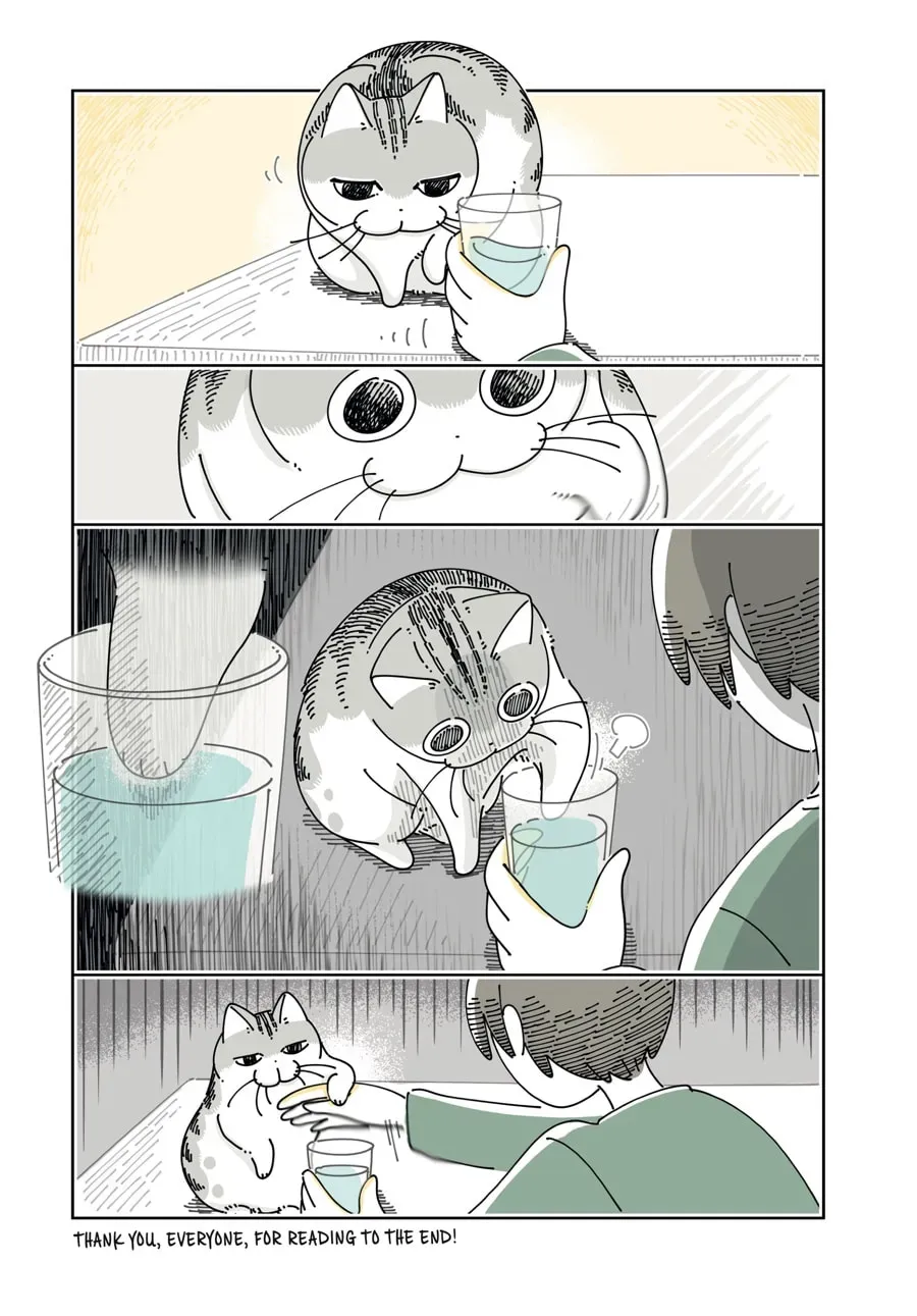 Read Nights With a Cat chapter 131 image 5 on Lezhin