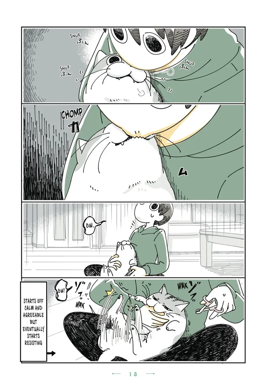 Read Nights With a Cat chapter 134 image 1 on Lezhin