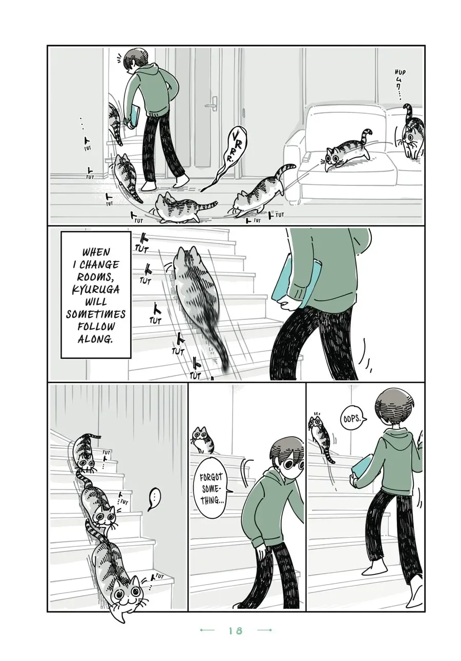 Read Nights With a Cat chapter 136 image 1 on Lezhin