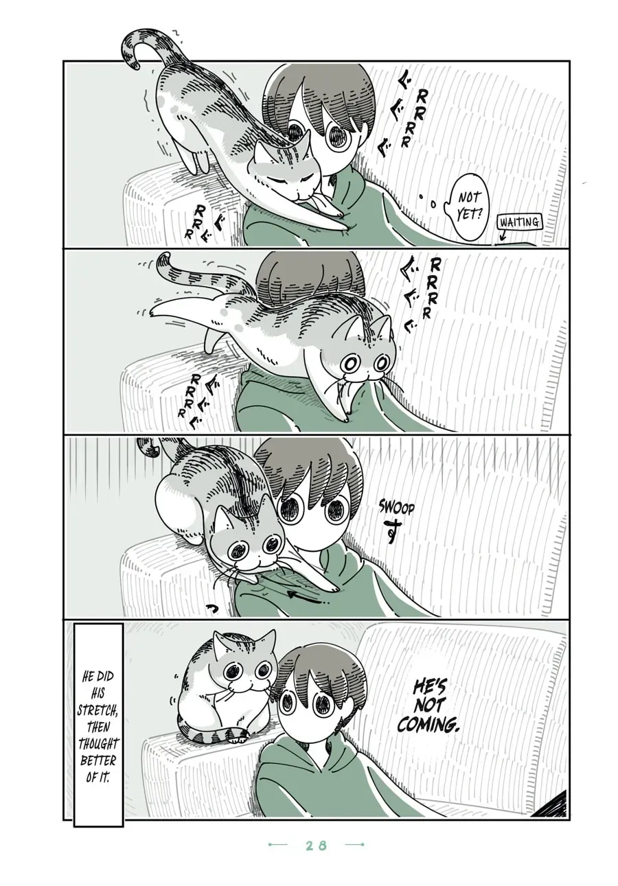 Read Nights With a Cat chapter 139 image 2 on Lezhin