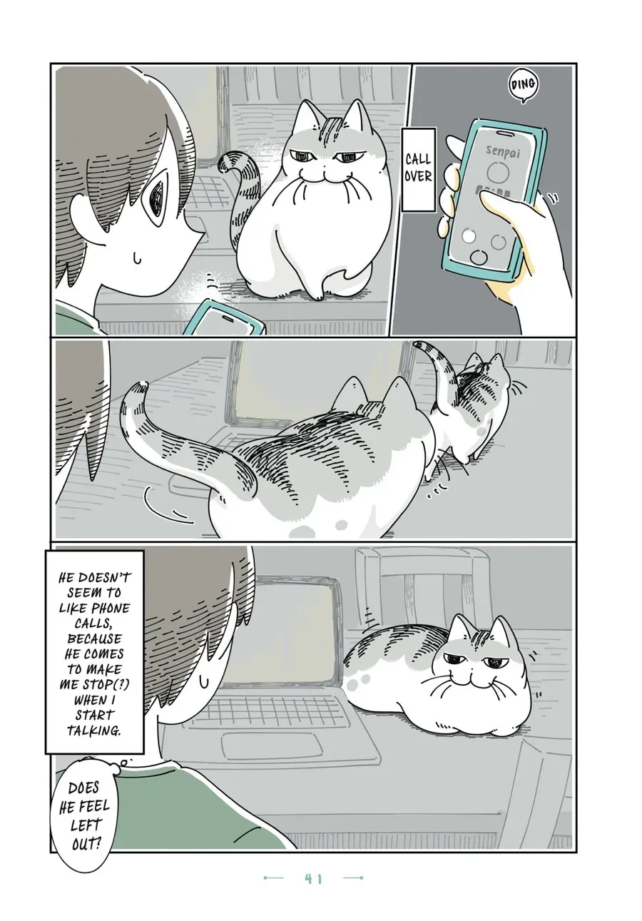 Read Nights With a Cat chapter 143 image 2 on Lezhin