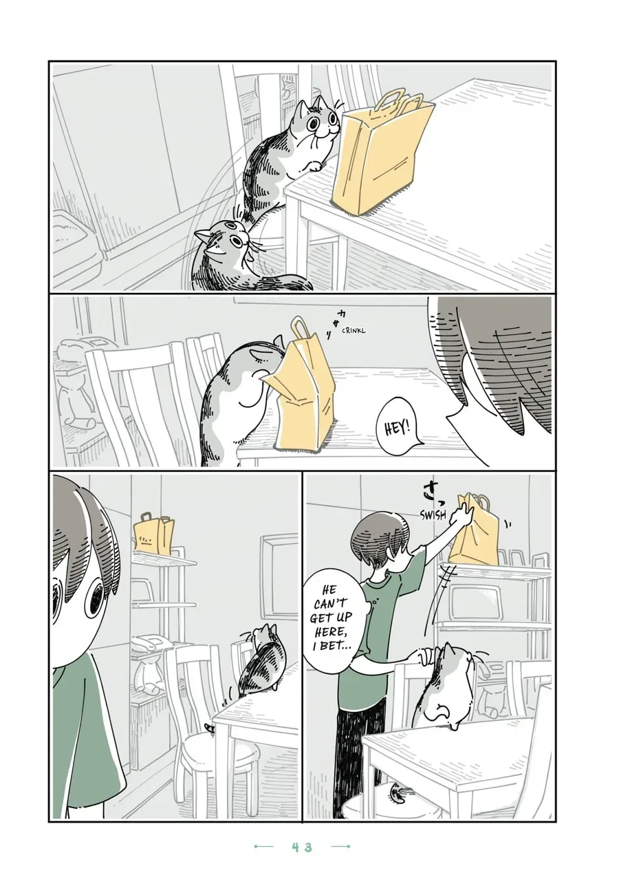 Read Nights With a Cat chapter 144 image 1 on Lezhin