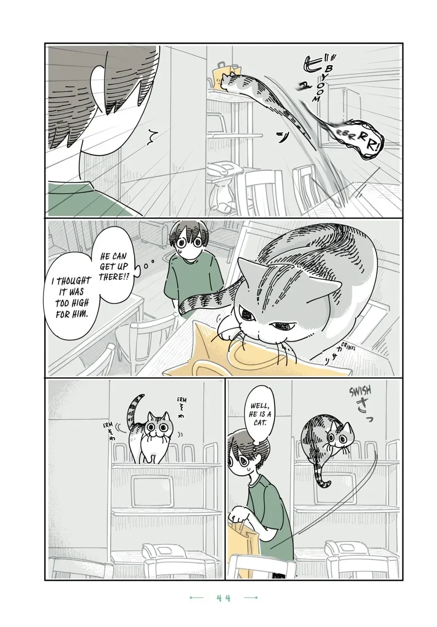 Read Nights With a Cat chapter 144 image 2 on Lezhin
