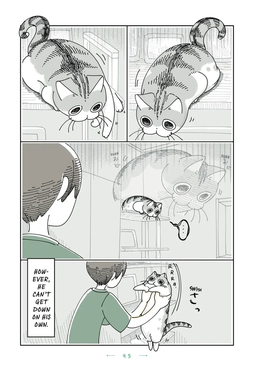 Read Nights With a Cat chapter 144 image 3 on Lezhin