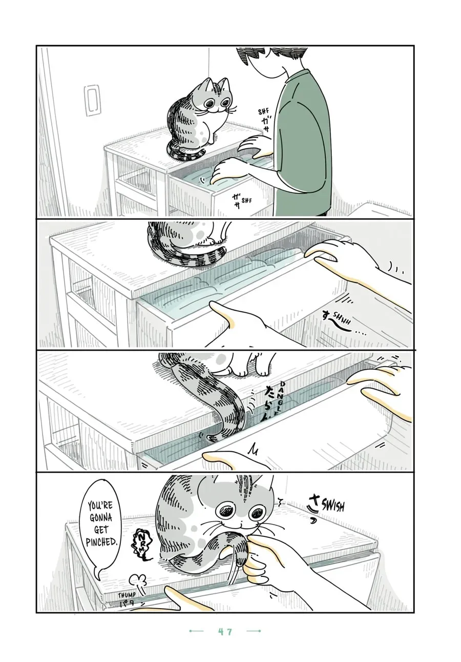 Read Nights With a Cat chapter 145 image 1 on Lezhin