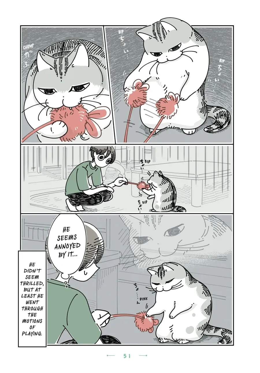 Read Nights With a Cat chapter 146 image 2 on Lezhin