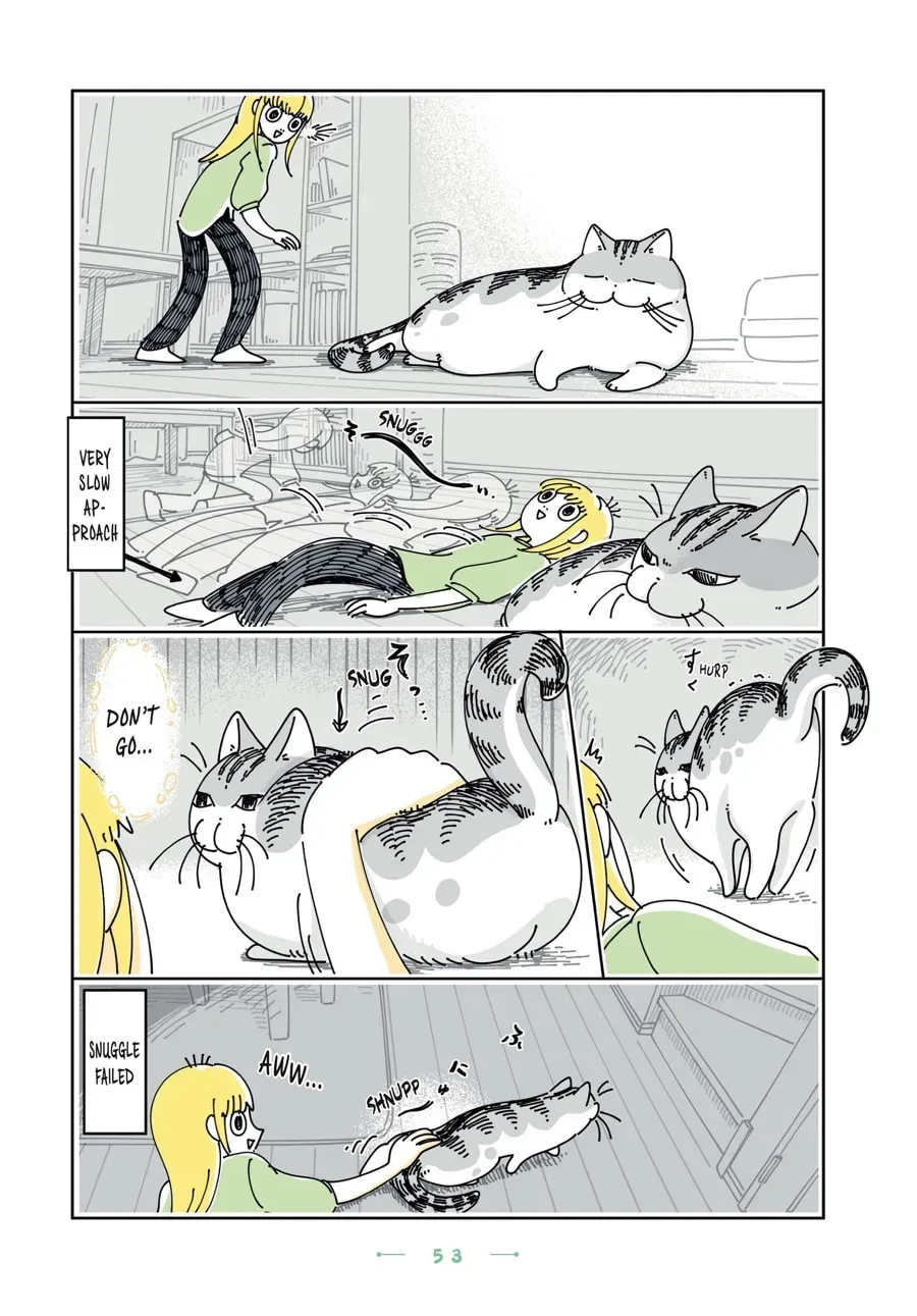 Read Nights With a Cat chapter 147 image 1 on Lezhin