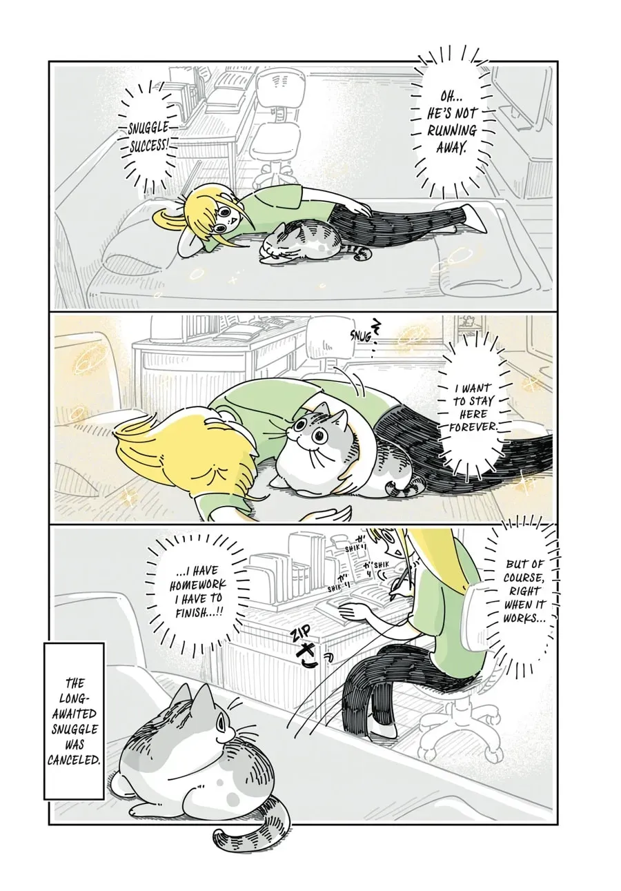 Read Nights With a Cat chapter 147 image 3 on Lezhin