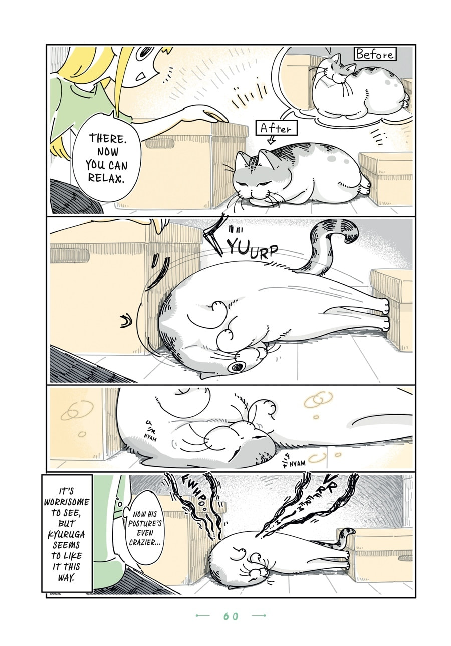 Read Nights With a Cat chapter 149 image 1 on Lezhin