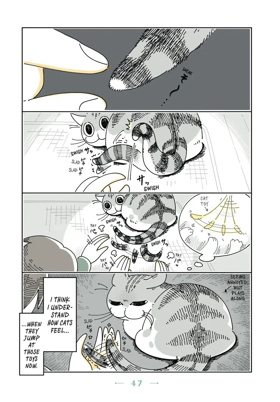 Read Nights With a Cat chapter 15.1 image 1 on Lezhin