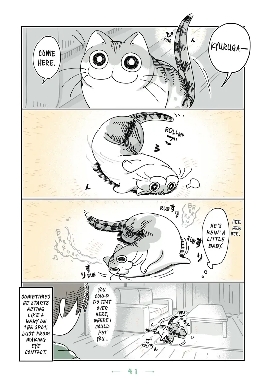 Read Nights With a Cat chapter 15.2 image 1 on Lezhin
