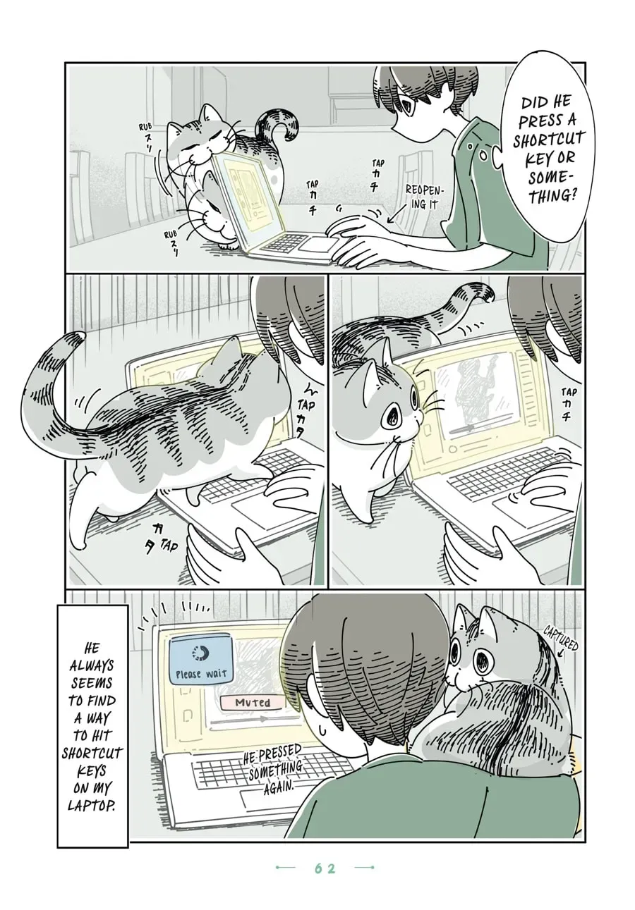 Read Nights With a Cat chapter 150 image 1 on Lezhin