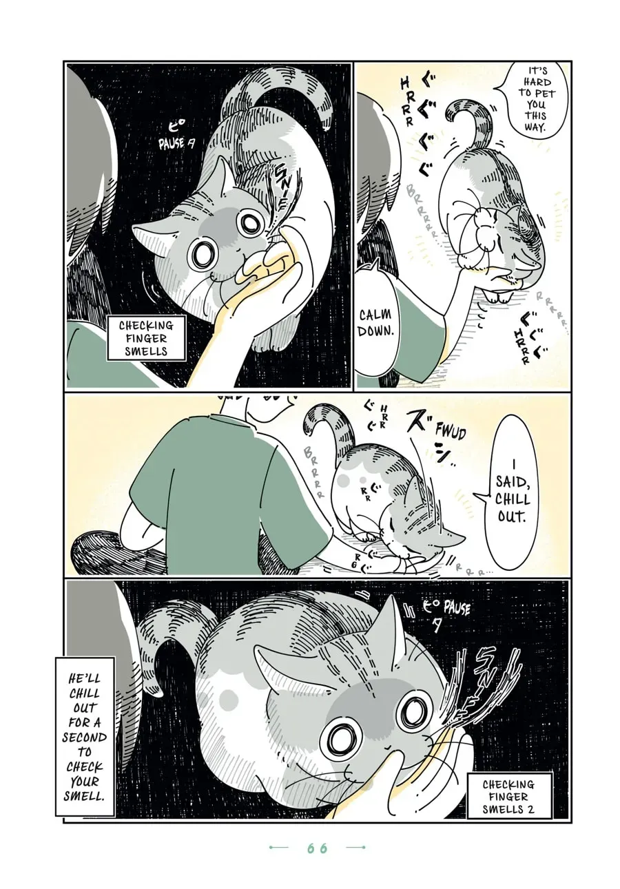 Read Nights With a Cat chapter 152 image 1 on Lezhin