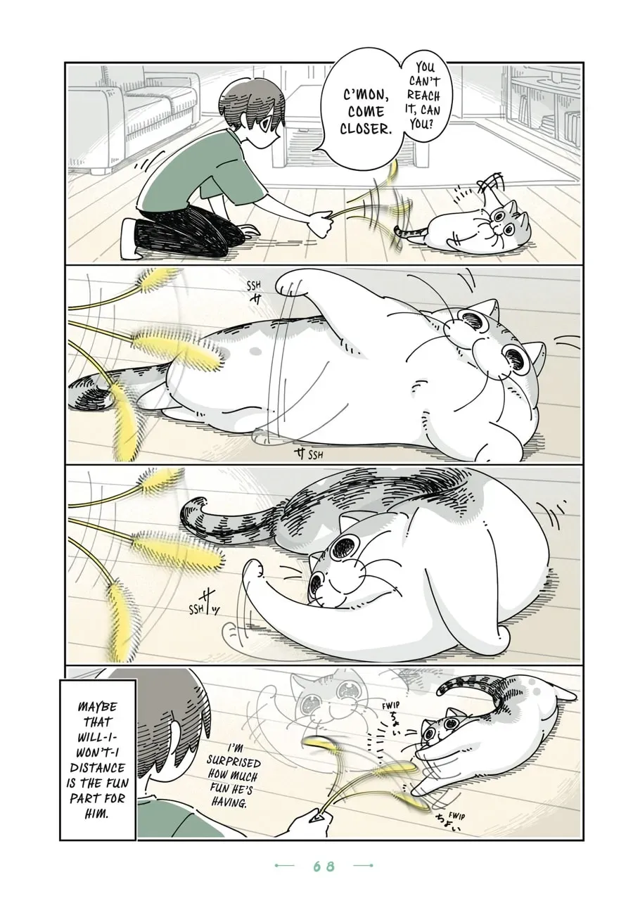 Read Nights With a Cat chapter 153 image 1 on Lezhin