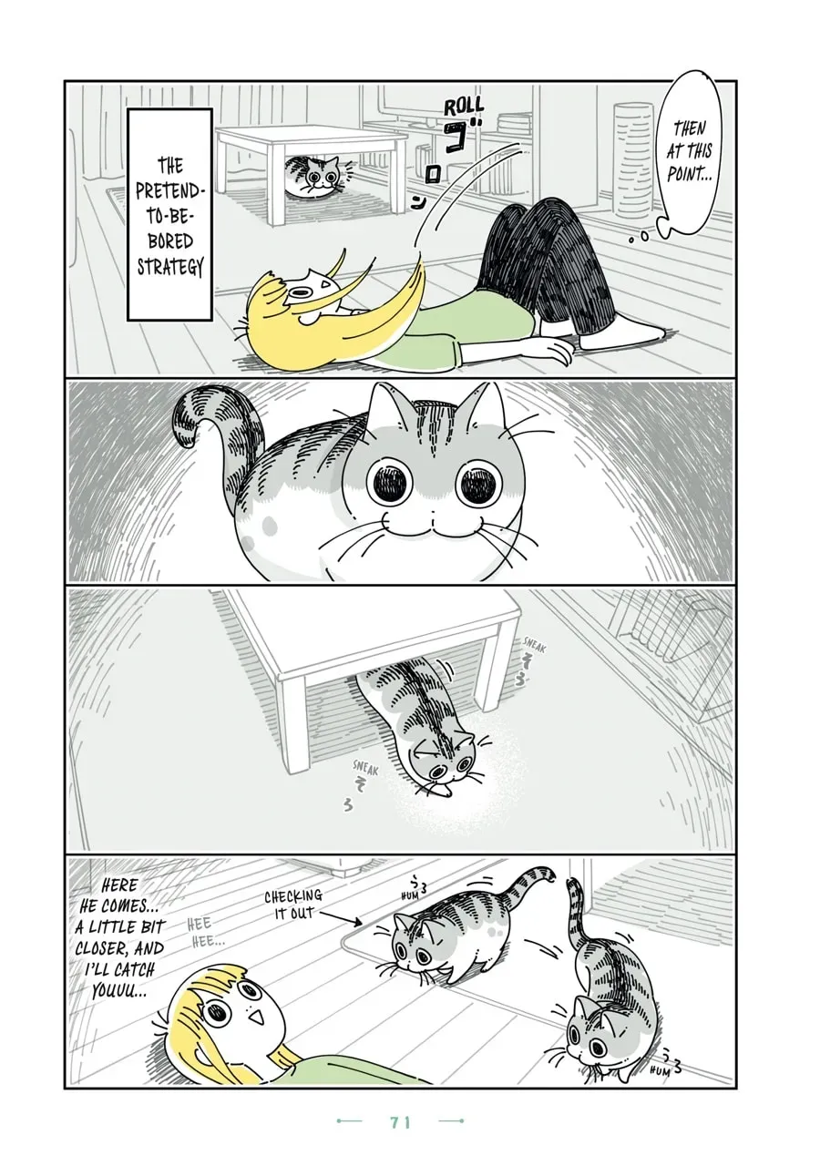 Read Nights With a Cat chapter 154 image 2 on Lezhin