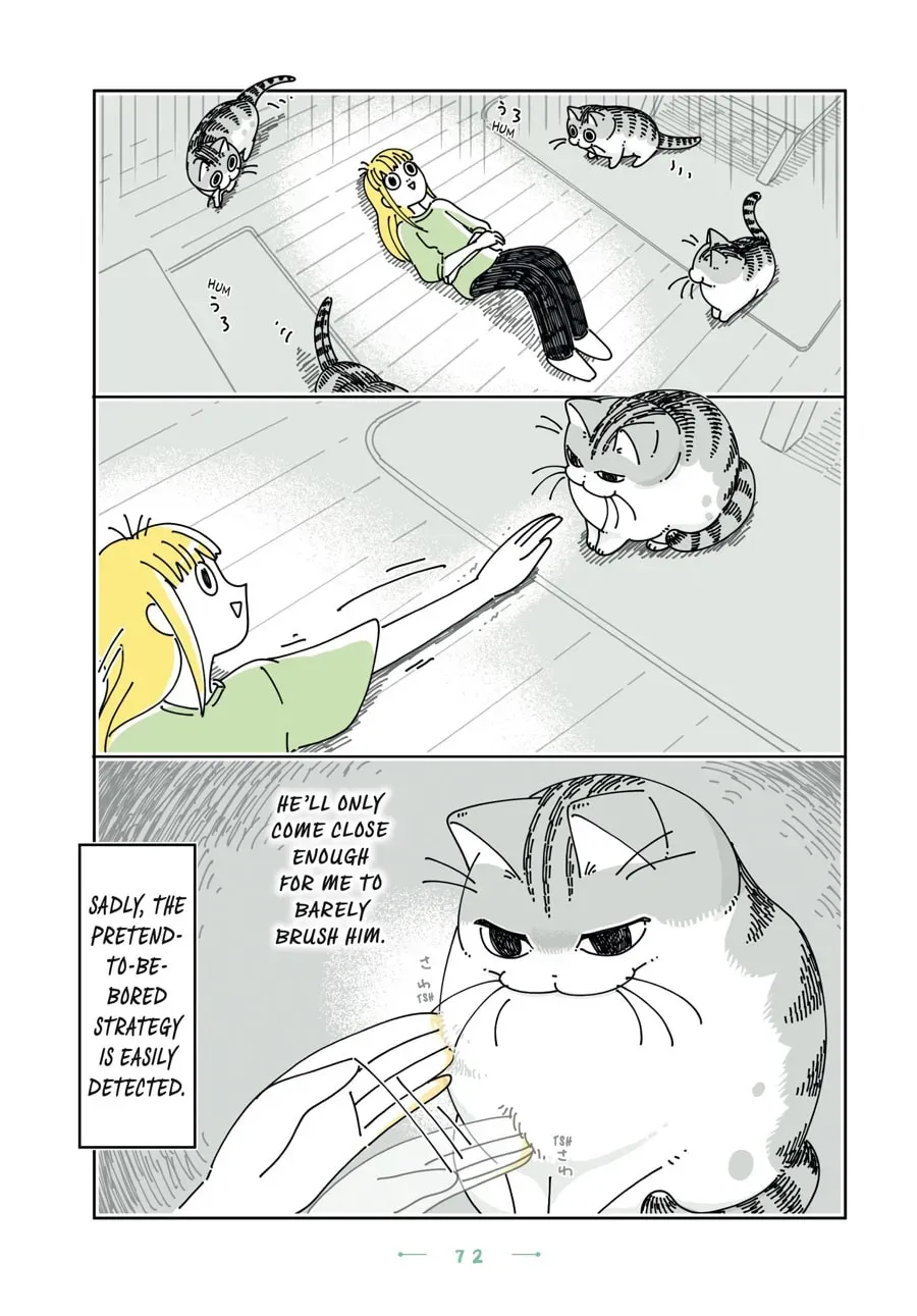 Read Nights With a Cat chapter 154 image 3 on Lezhin