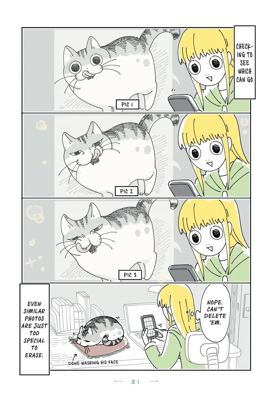 Read Nights With a Cat chapter 157 image 2 on Lezhin