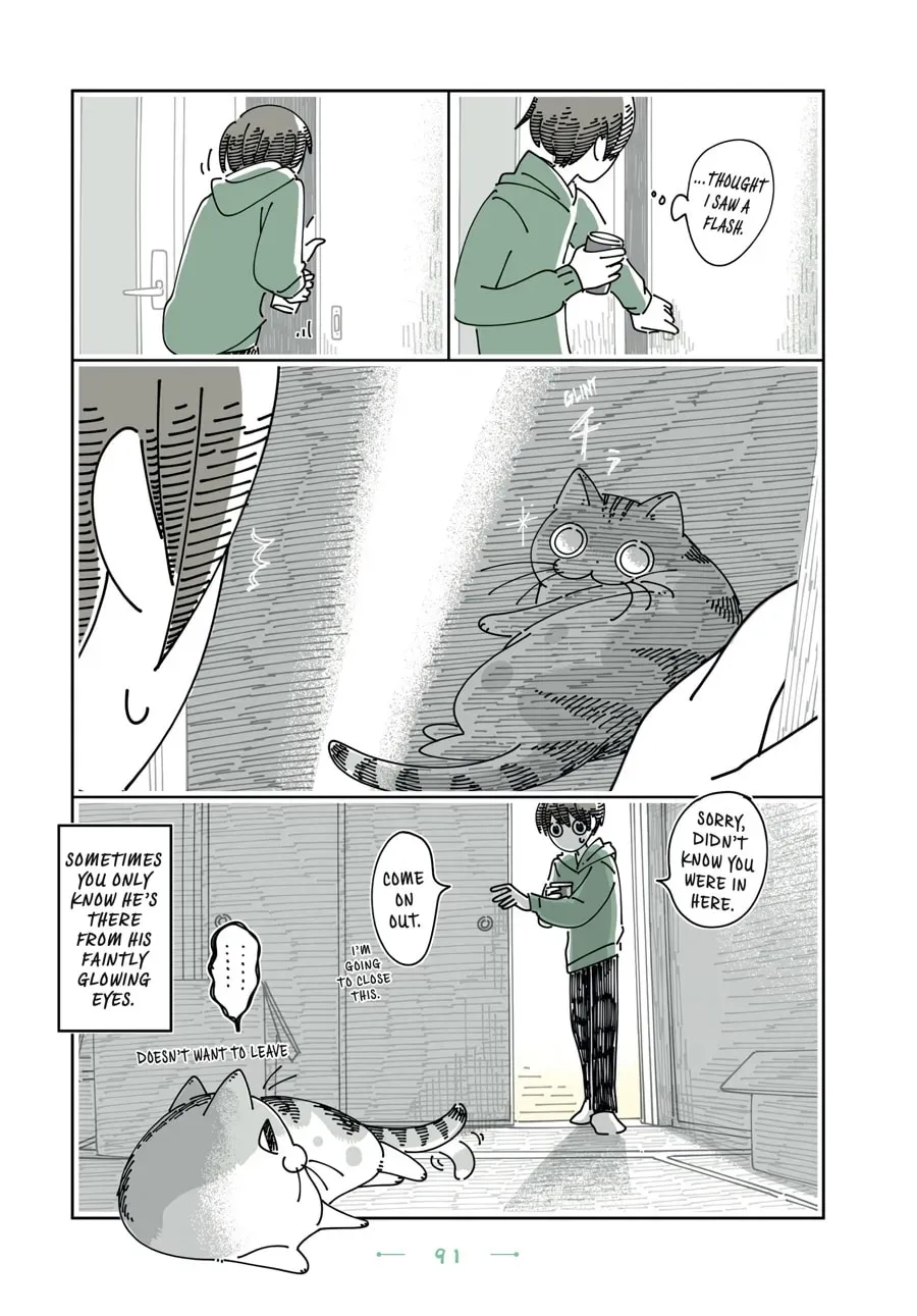 Read Nights With a Cat chapter 161 image 2 on Lezhin