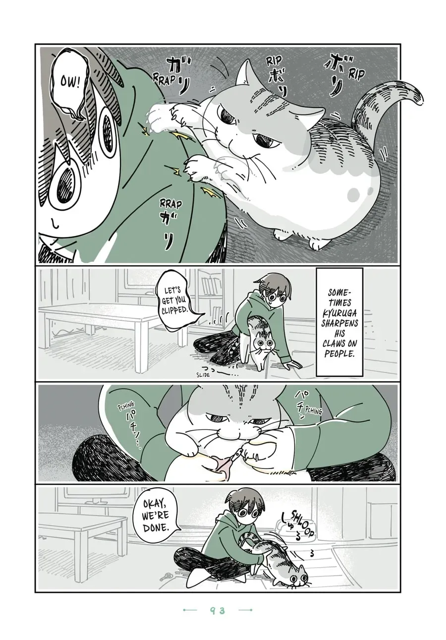 Read Nights With a Cat chapter 162 image 1 on Lezhin