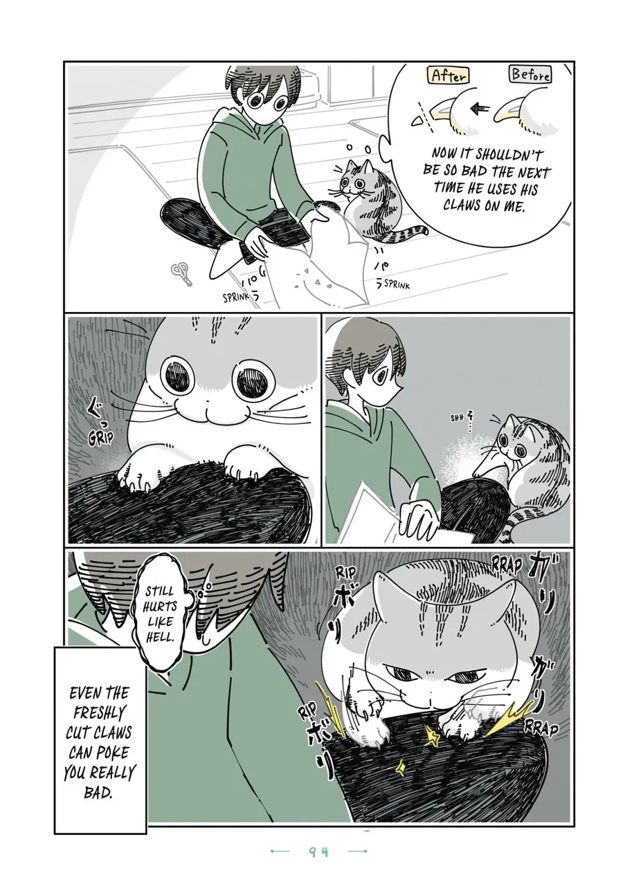 Read Nights With a Cat chapter 162 image 2 on Lezhin