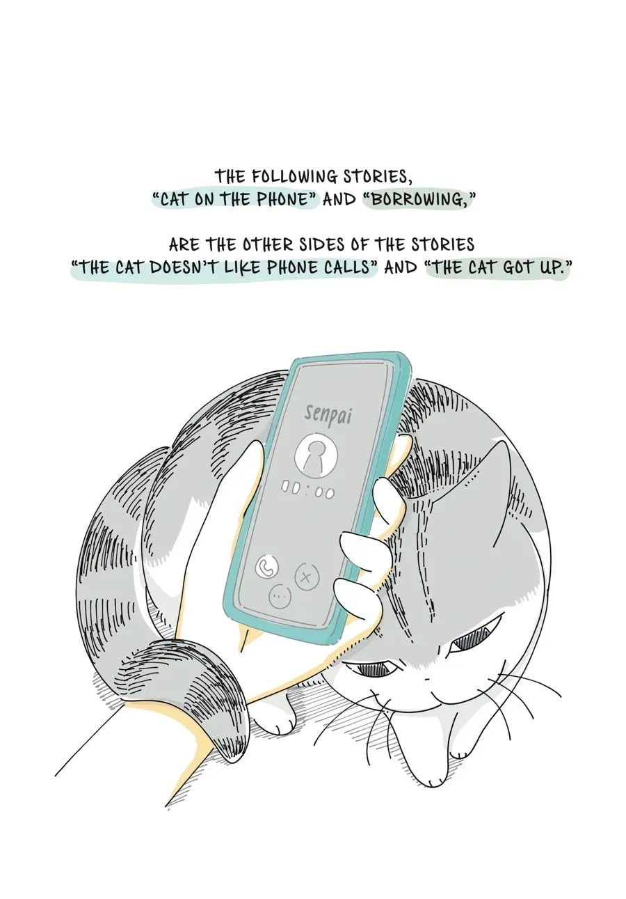Read Nights With a Cat chapter 162 image 3 on Lezhin