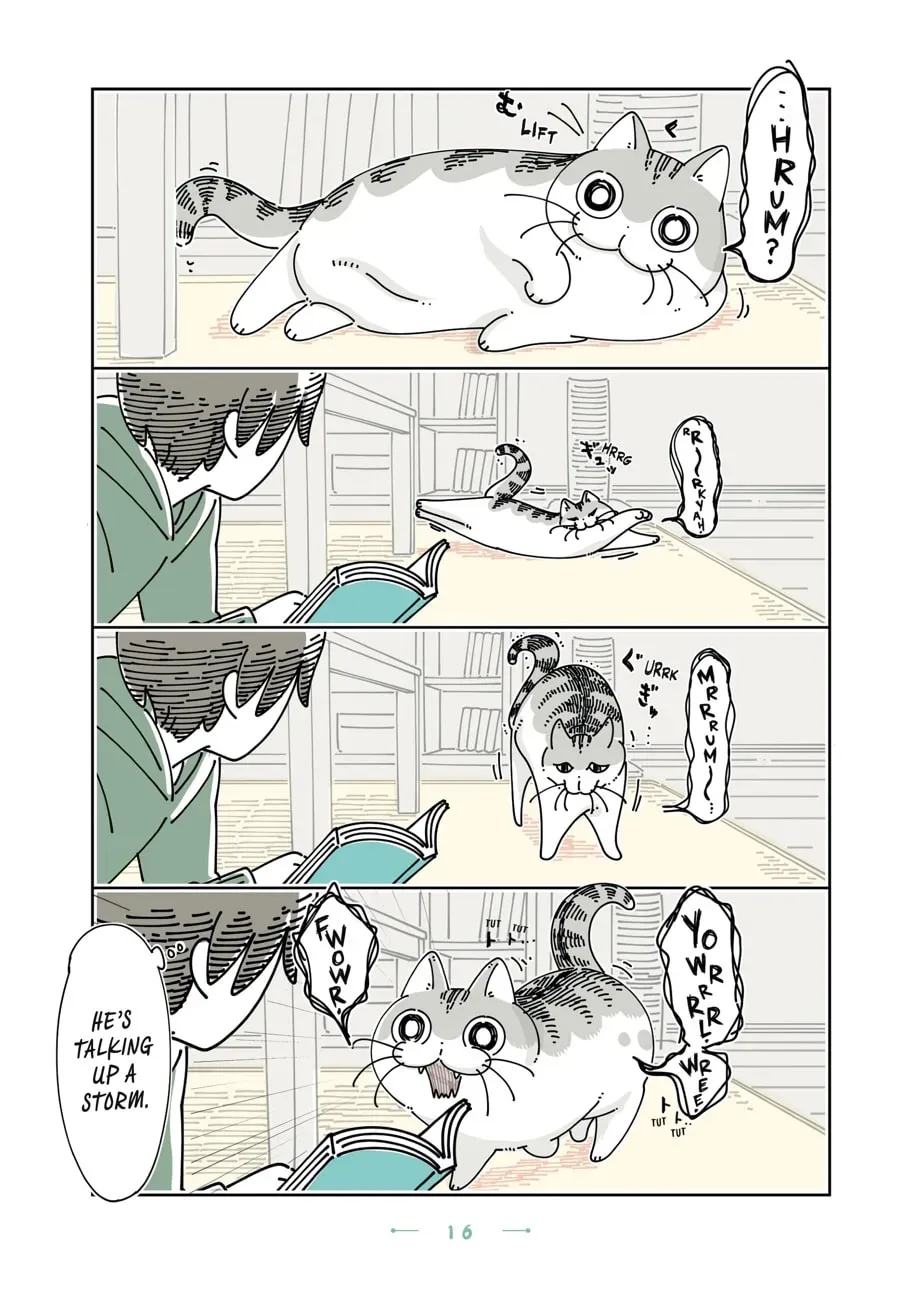 Read Nights With a Cat chapter 171 image 1 on Lezhin