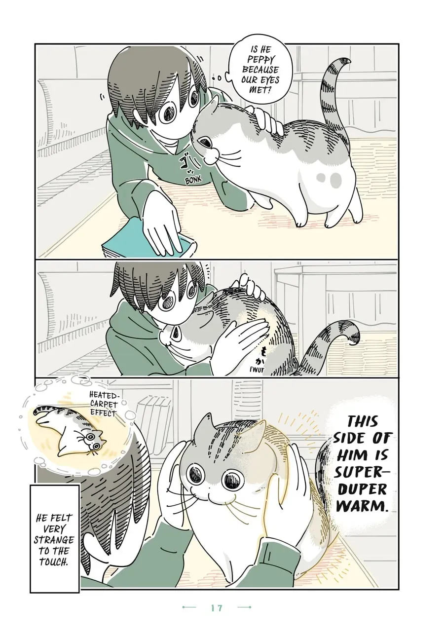 Read Nights With a Cat chapter 171 image 2 on Lezhin