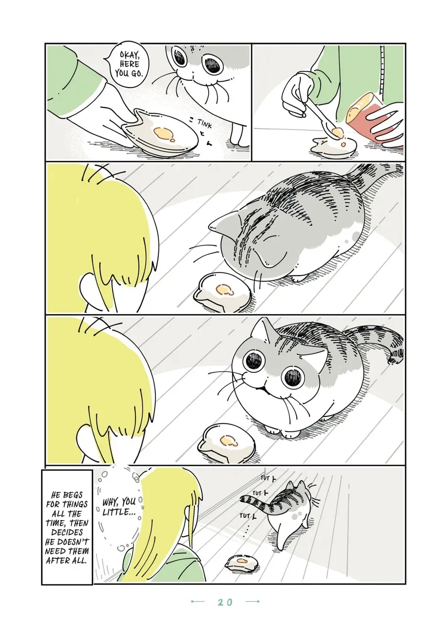Read Nights With a Cat chapter 172 image 2 on Lezhin