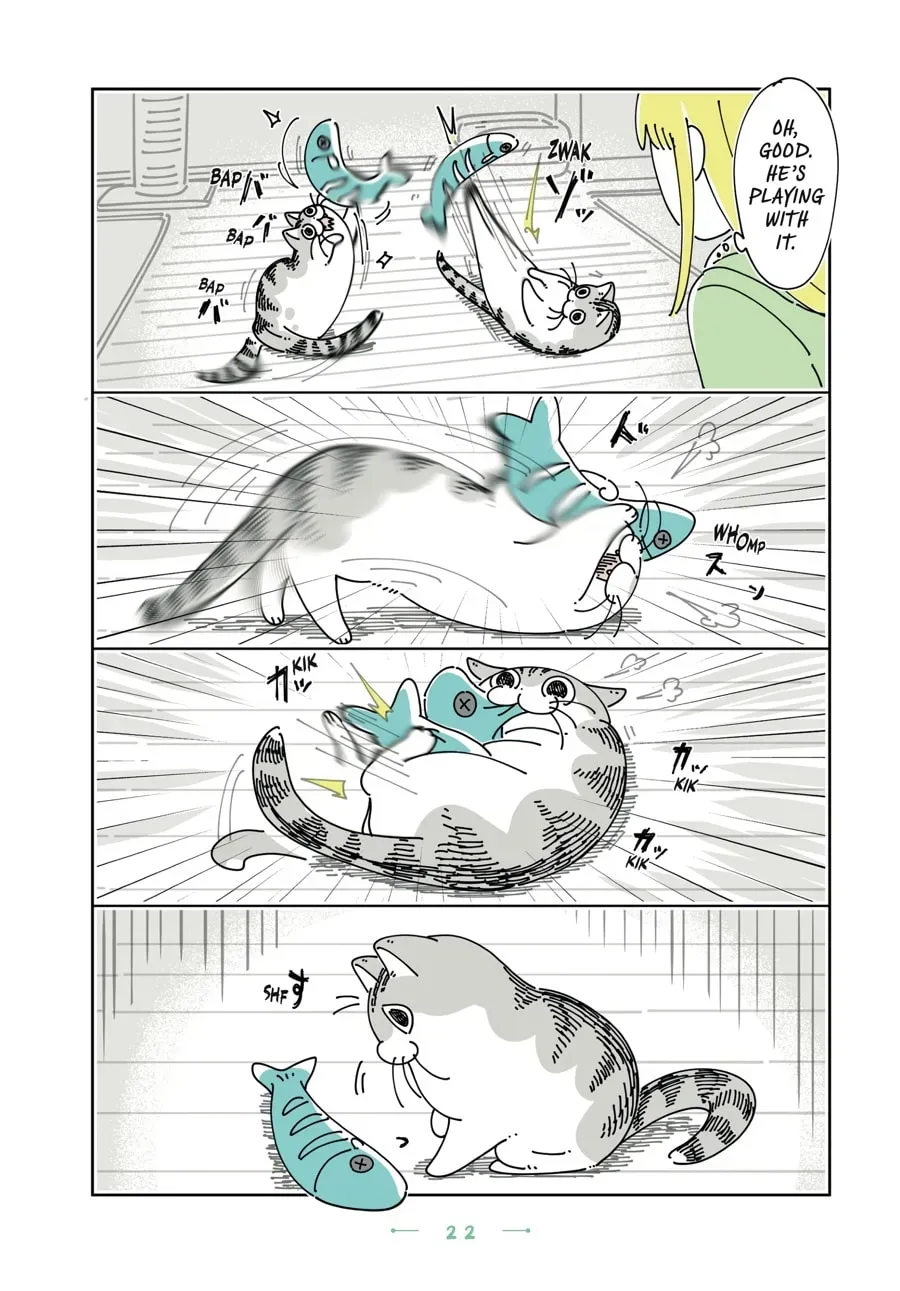 Read Nights With a Cat chapter 173 image 1 on Lezhin