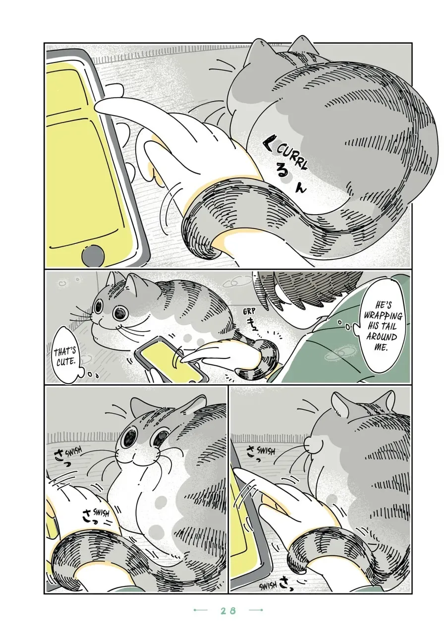 Read Nights With a Cat chapter 175 image 1 on Lezhin