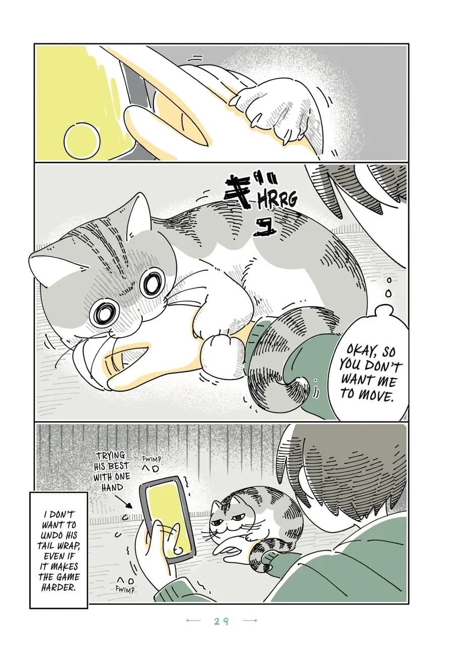 Read Nights With a Cat chapter 175 image 2 on Lezhin