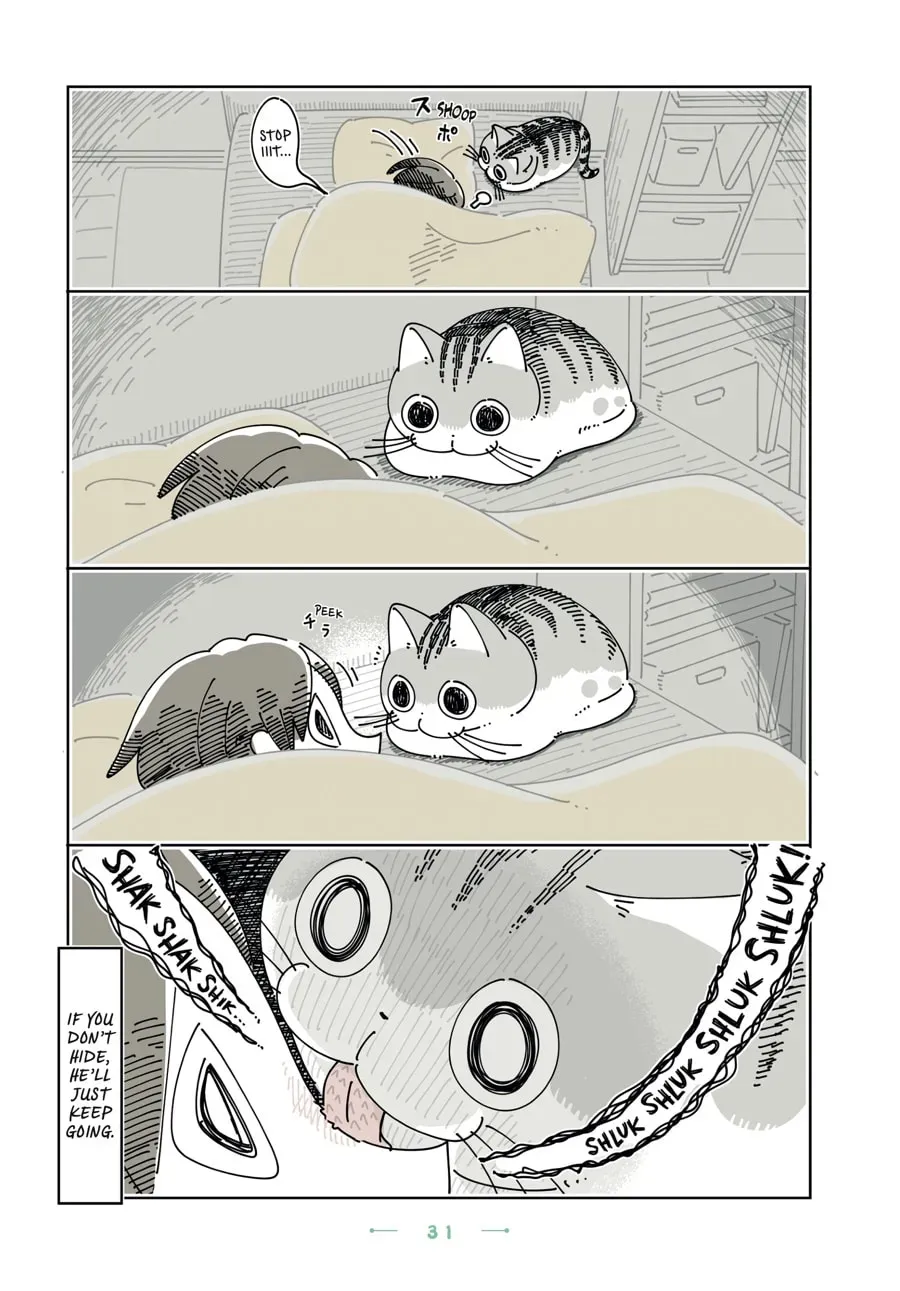 Read Nights With a Cat chapter 176 image 1 on Lezhin