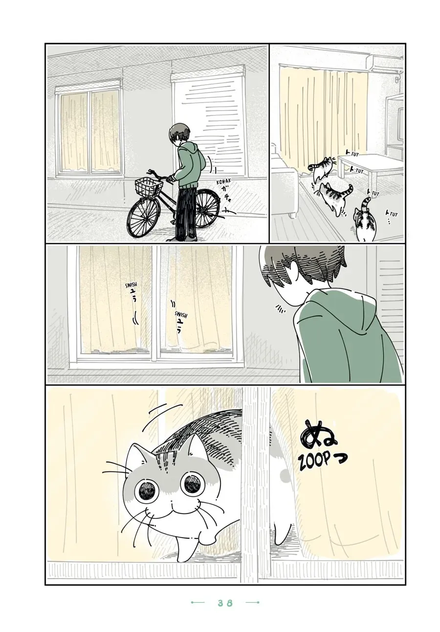 Read Nights With a Cat chapter 178 image 1 on Lezhin