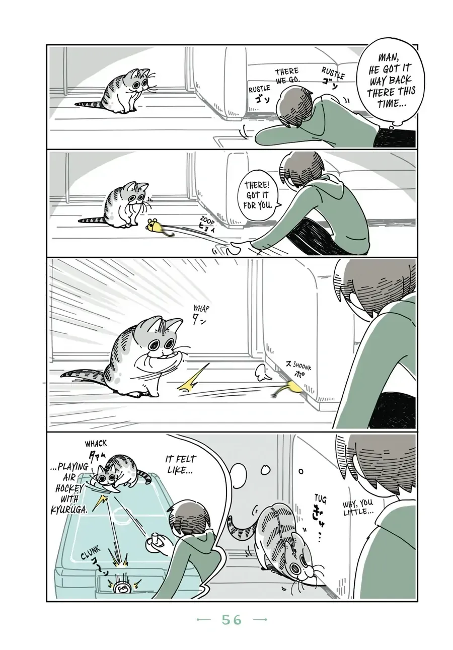 Read Nights With a Cat chapter 18.1 image 2 on Lezhin