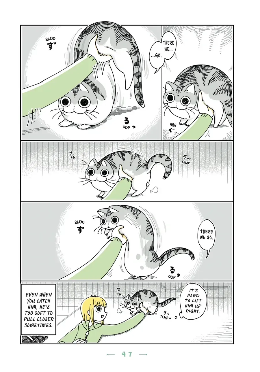 Read Nights With a Cat chapter 18.2 image 2 on Lezhin