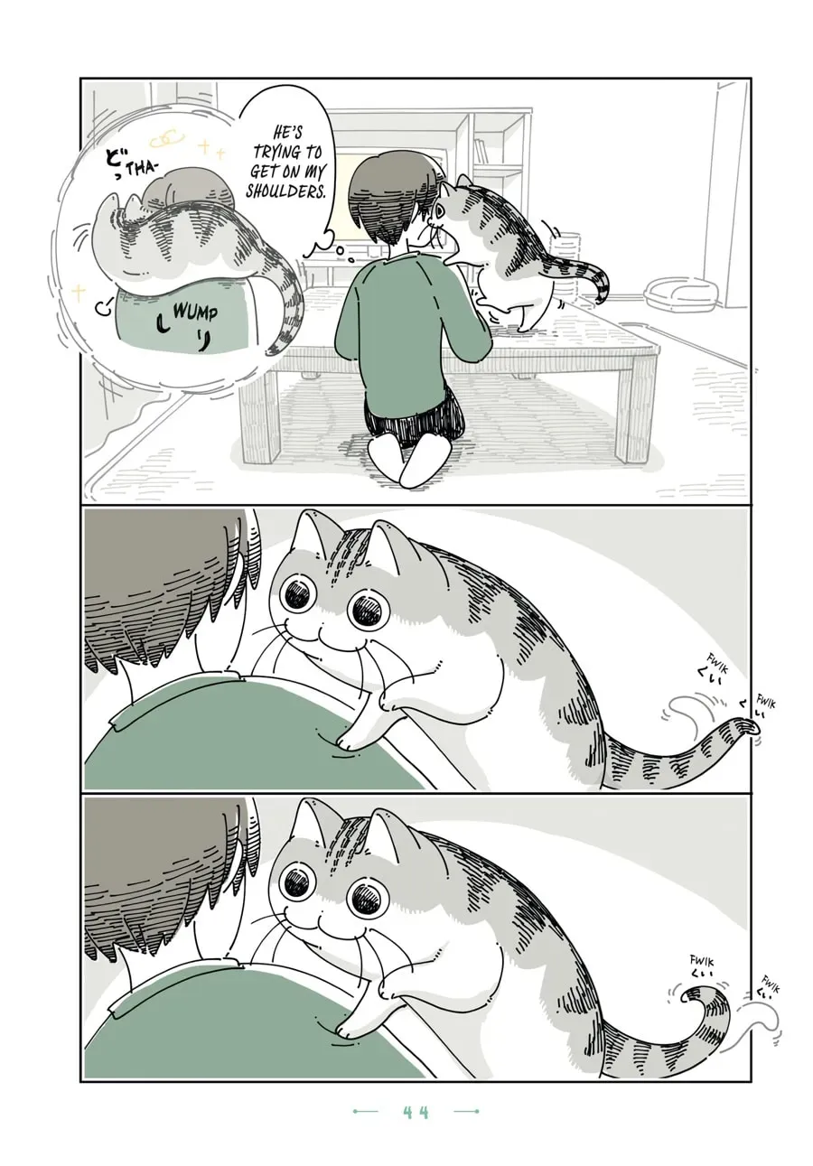Read Nights With a Cat chapter 180 image 1 on Lezhin
