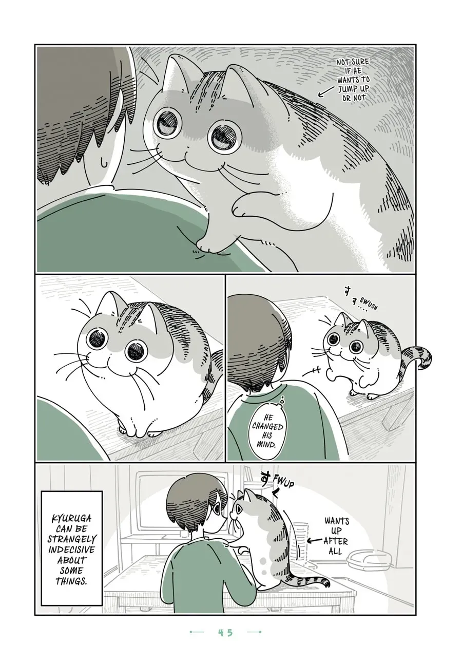 Read Nights With a Cat chapter 180 image 2 on Lezhin