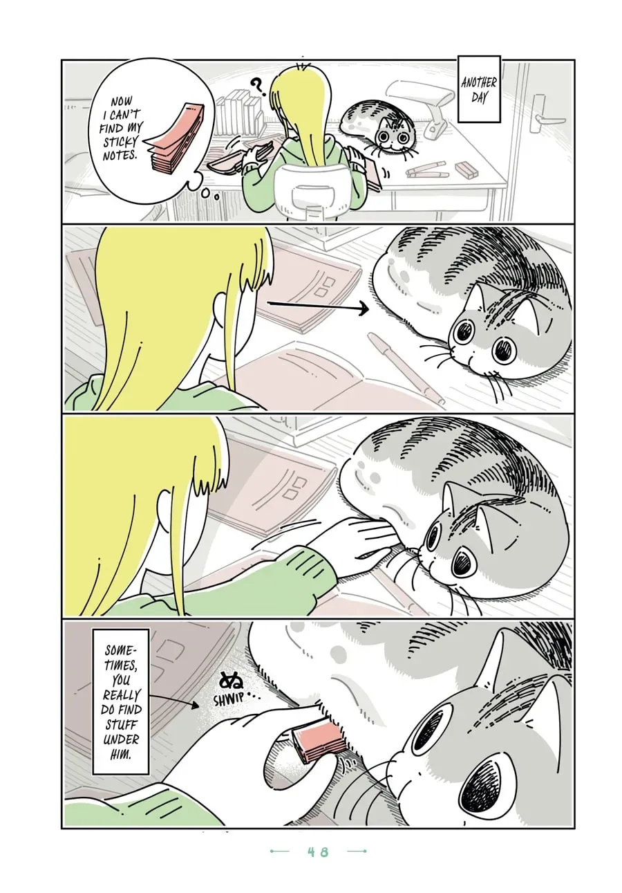 Read Nights With a Cat chapter 181 image 2 on Lezhin