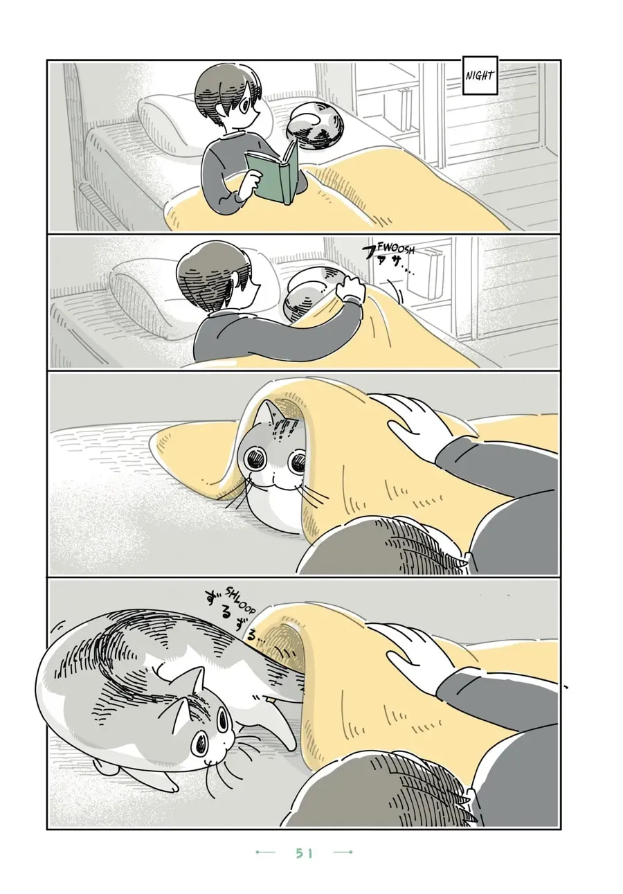 Read Nights With a Cat chapter 182 image 2 on Lezhin