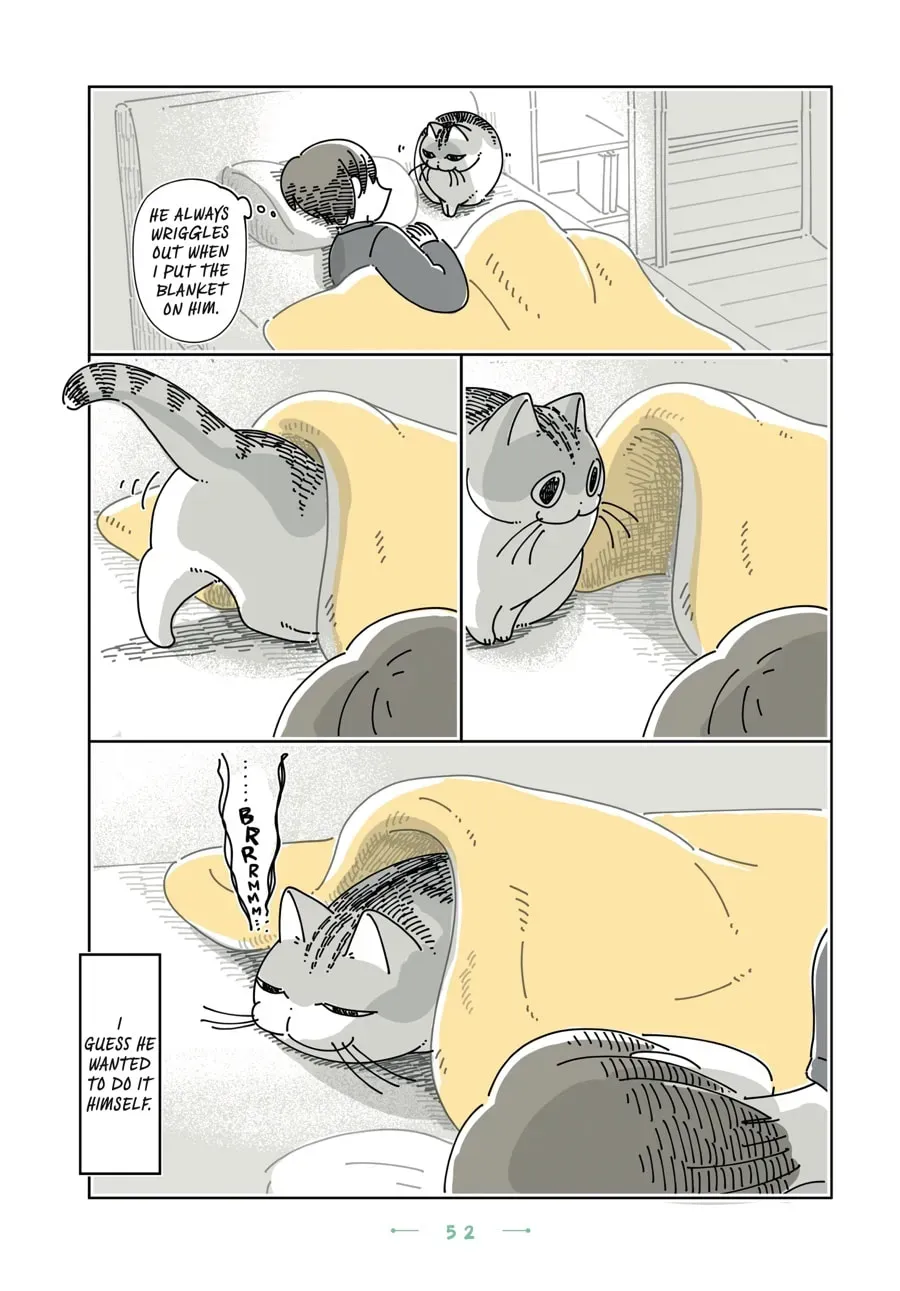 Read Nights With a Cat chapter 182 image 3 on Lezhin