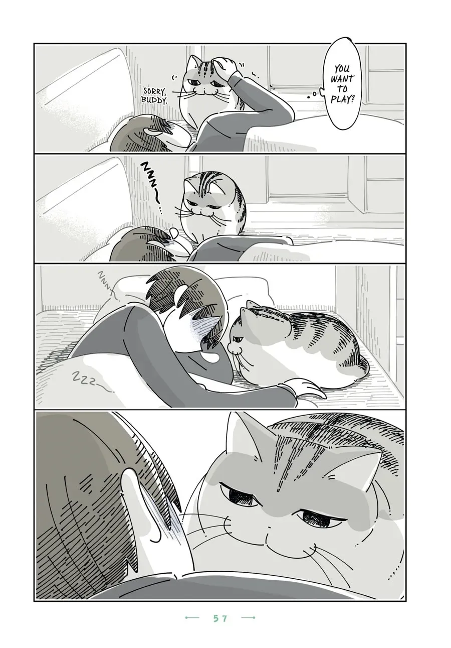 Read Nights With a Cat chapter 184 image 1 on Lezhin