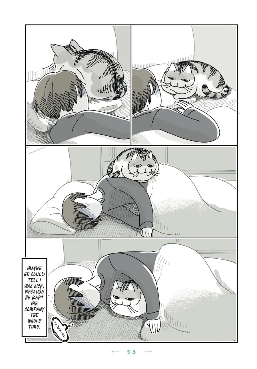 Read Nights With a Cat chapter 184 image 2 on Lezhin
