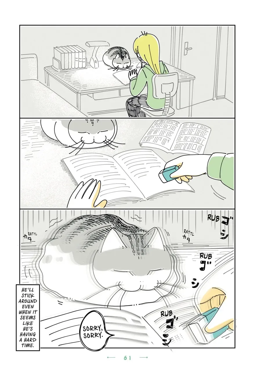 Read Nights With a Cat chapter 185 image 2 on Lezhin